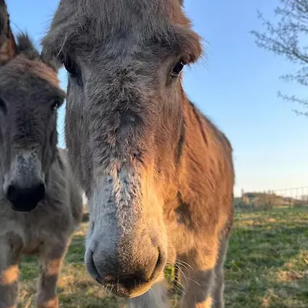 De Charme Calme Au Coeur Du Perche, Proche Le Mans - Fr-1-410-478 Tatil Evi