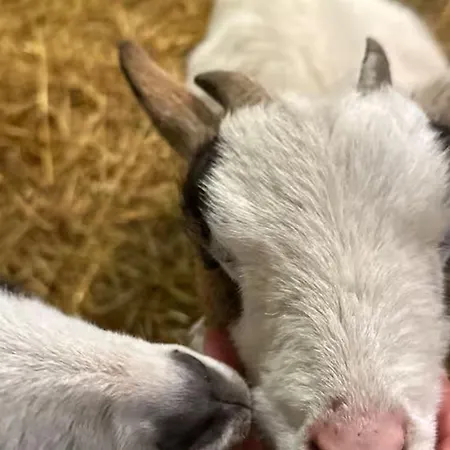 De Charme Calme Au Coeur Du Perche, Proche Le Mans - Fr-1-410-478