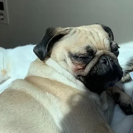 De Charme Calme Au Coeur Du Perche, Proche Le Mans - Fr-1-410-478 * Courgains