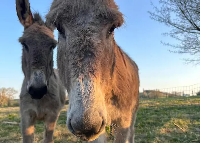 De Charme Calme Au Coeur Du Perche, Proche Le Mans - Fr-1-410-478 Σπίτι διακοπών