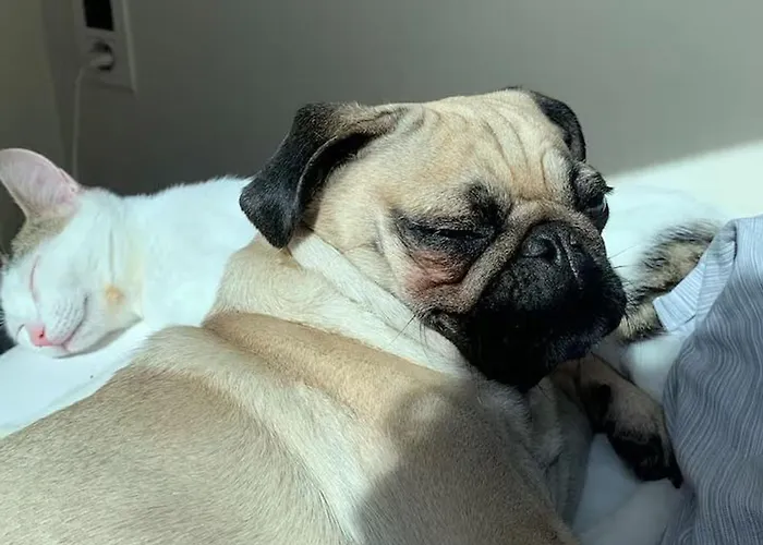 De Charme Calme Au Coeur Du Perche, Proche Le Mans - Fr-1-410-478 * Courgains